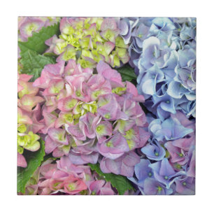 Colorful hydrangea flowers tile