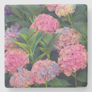 Colorful Hydrangea Stone Coaster