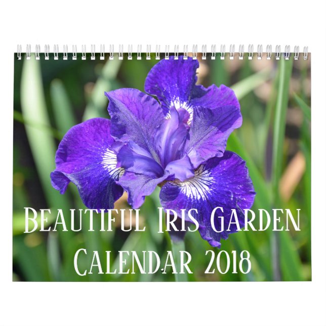 Colorful iris flowers calendar (Cover)