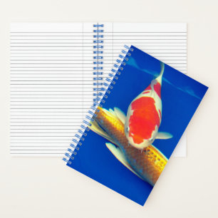 Colorful Koi in Blue Pool Notebook