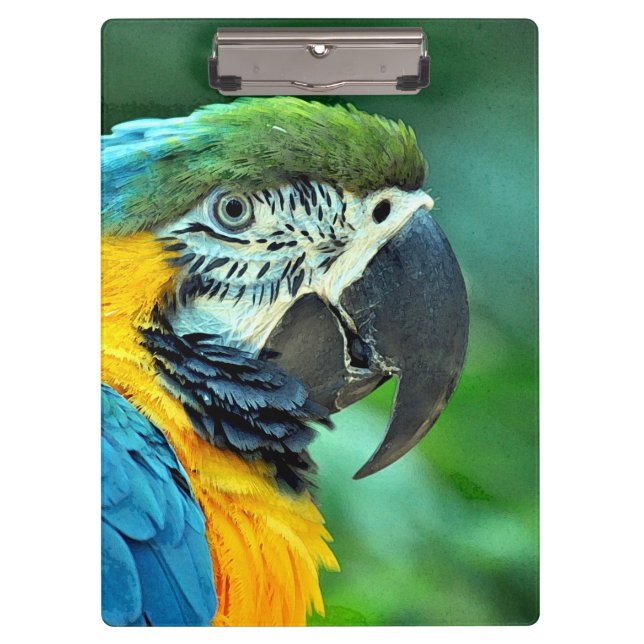 Colorful macaw parrot clipboard (Front)