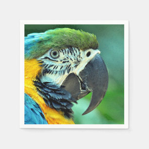 Colorful macaw parrot napkin