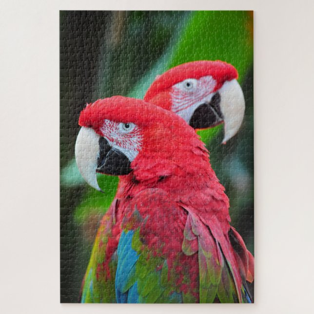 Colorful macaw parrots poster jigsaw puzzle (Vertical)