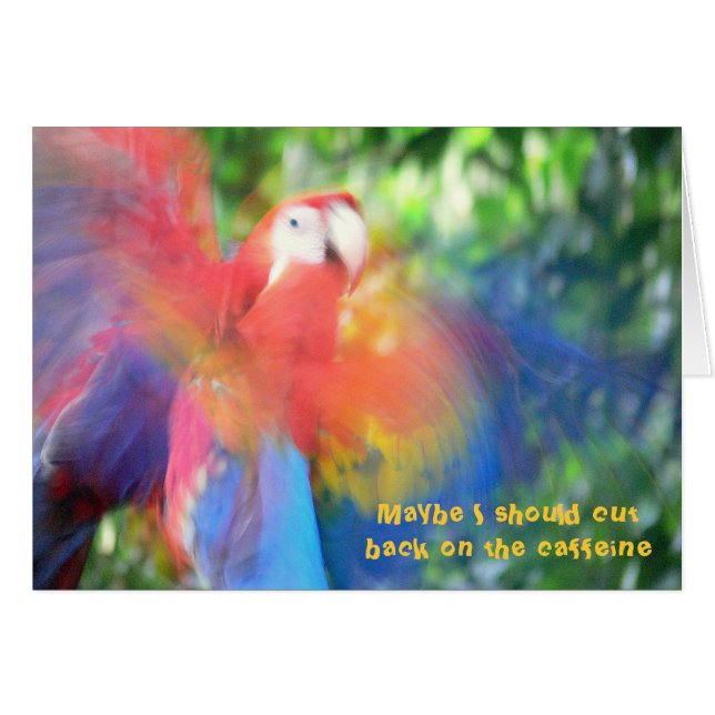 COLORFUL MACAW "TOO MUCH CAFFEINE" HUMOROUS CARD (Front Horizontal)