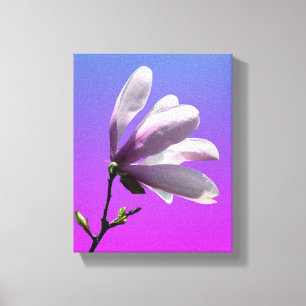 Colorful Magnolia Wrapped Canvas