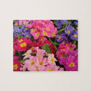Colorful Medley Pink Blue Purple Primula Flowers Jigsaw Puzzle