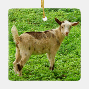 Colorful Moonspotted Nigerian Dwarf Dairy Goat Kid Ceramic Ornament