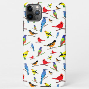 Colorful North American Birds Pattern iPhone 11Pro Max Case