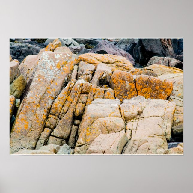 Colorful Ocean Rocks Print (Front)