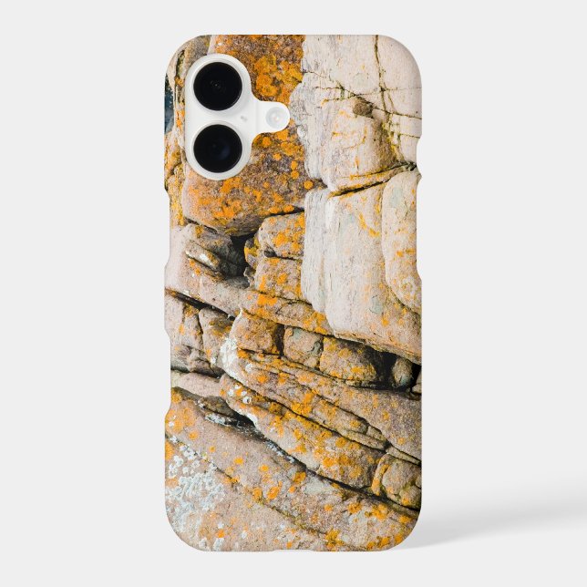 Colorful Ocean Rocks Print (Back)