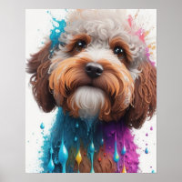 colorful paint splash cockapoo
