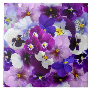 Colorful Pansies, pretty flowers, Tile