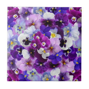 Colorful Pansies, Pretty Flowers, Tile