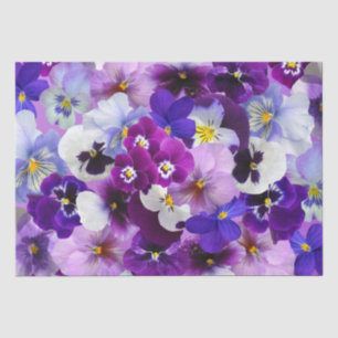 Colorful Pansies, Pretty Flowers, Tissue Paper