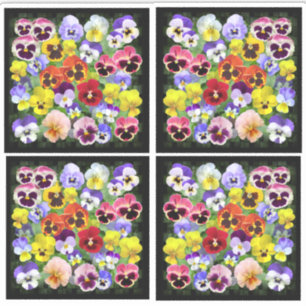 Colorful Pansy Display Contour