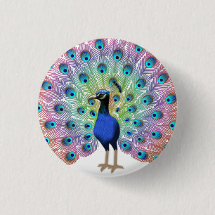 Colorful Peacock 1 Inch Round Button