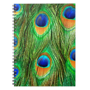 Colorful Peacock Feathers Print Notebook