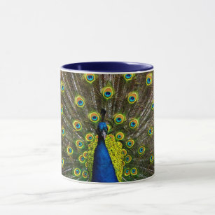 Colorful peacock mug