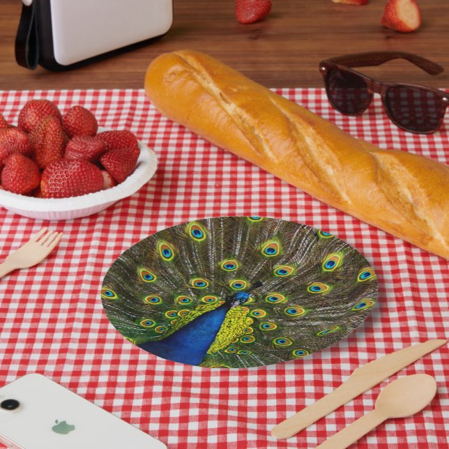 Colorful peacock paper plate (Picnic)