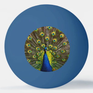 Colorful peacock ping pong ball