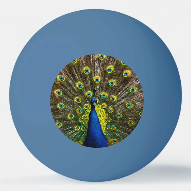 Colorful peacock ping pong ball (Front)