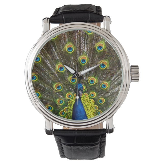 Colorful peacock watch (Front)
