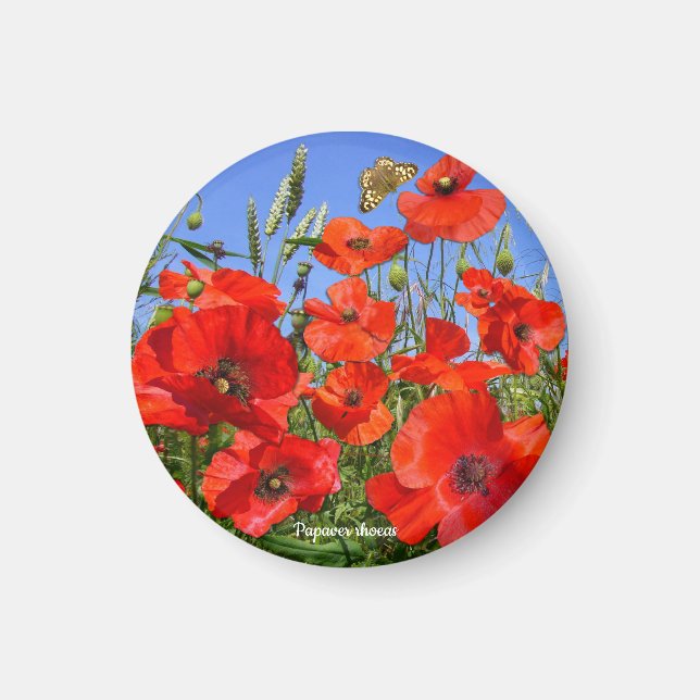 Colorful Poppy Field Magnet (Front)