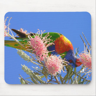 Colorful Rainbow Lorikeet Bird Eating Nectar Mouse Pad
