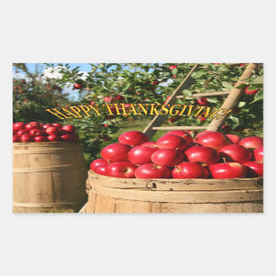 Colorful Red Apple Harvest Thanksgiving Rectangul Sticker