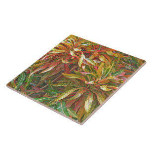 "COLORFUL RIBBON-LIKE LEAVES" CERAMIC TILE/TRIVET TILE