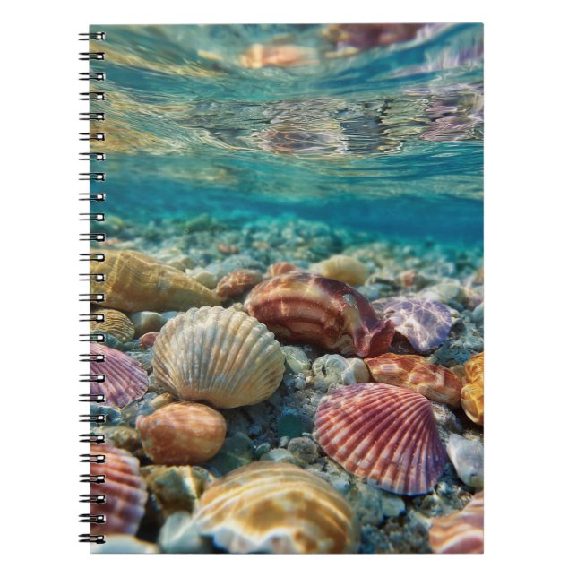 Colorful Seashells Underwater Ocean Notebook (Front)