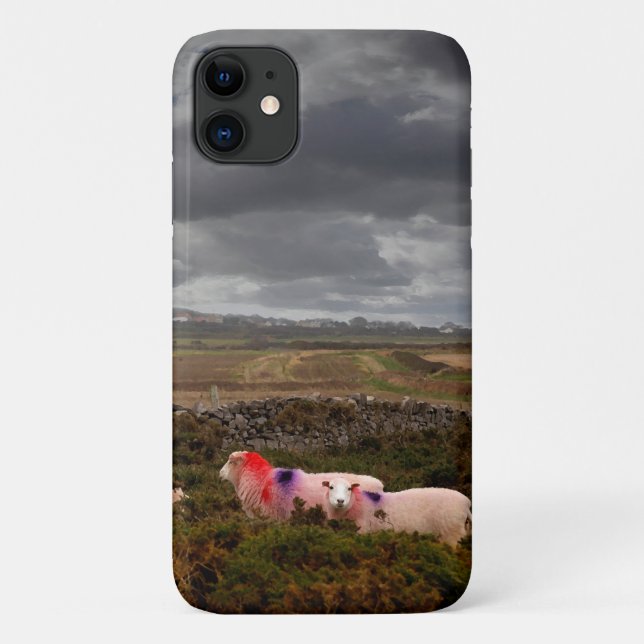 Colorful sheep Case-Mate iPhone case (Back)