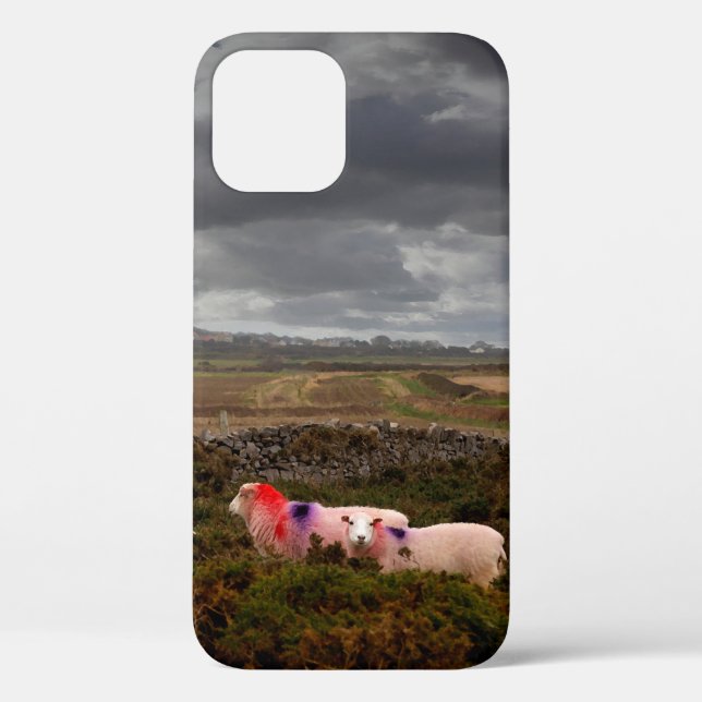 Colorful sheep Case-Mate iPhone case (Back)