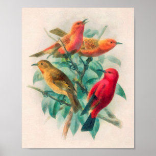 Colorful Songbirds & Green Leaves Poster