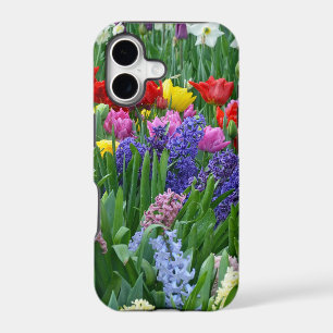 Colorful spring flower garden