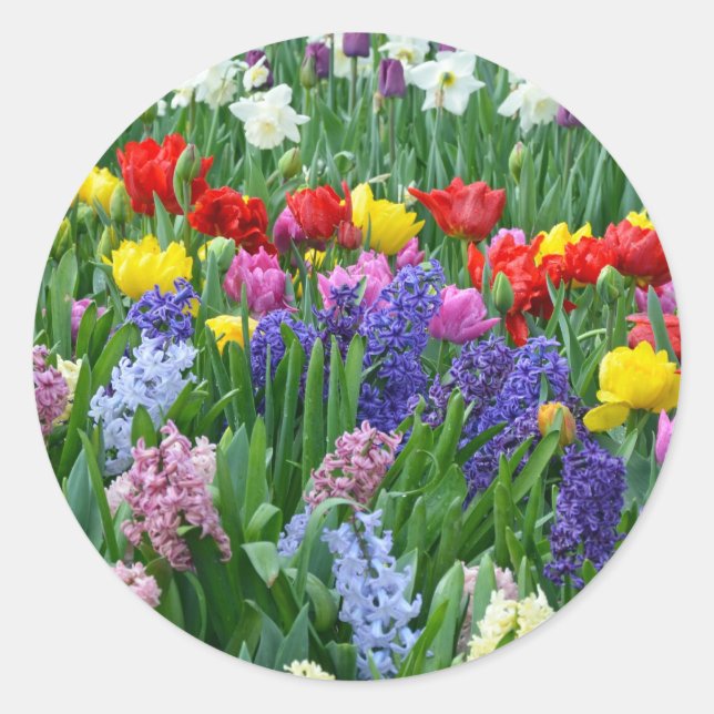 Colorful spring flower garden classic round sticker (Front)