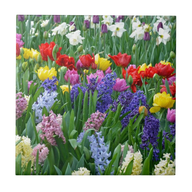 Colorful spring flower garden tile (Front)