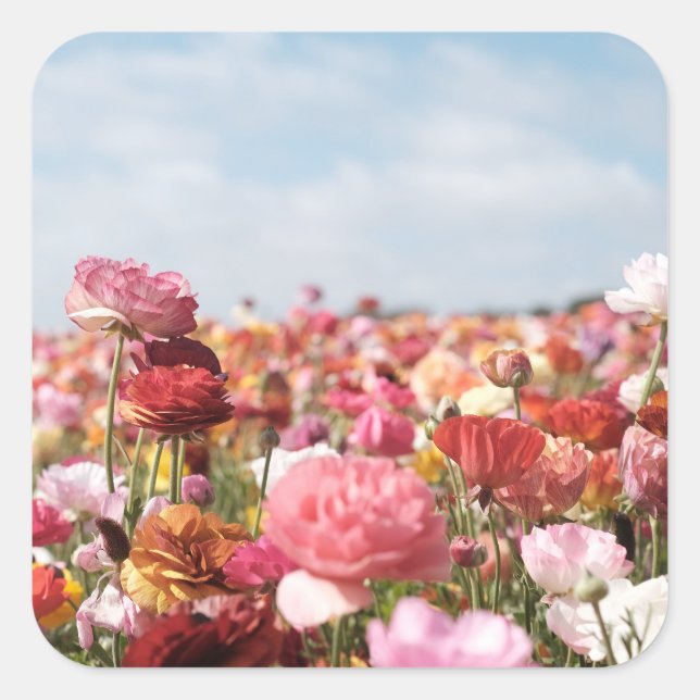 Colorful spring flower sticker (Front)