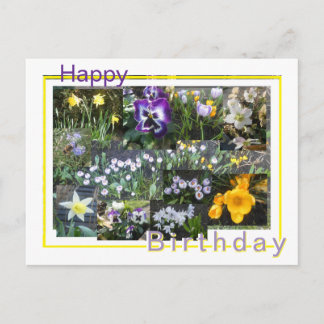 Colorful Spring Flowers Collage Birthday Postcard