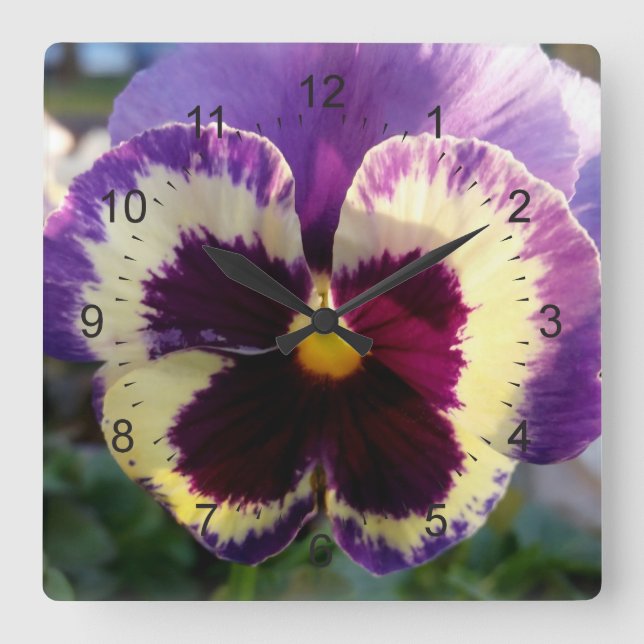 colorful spring Pansy Square Wall Clock (Front)