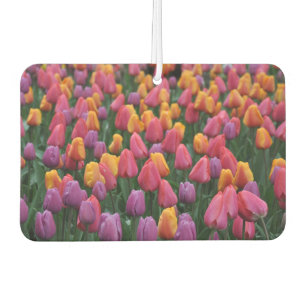 Colorful spring tulips air freshener
