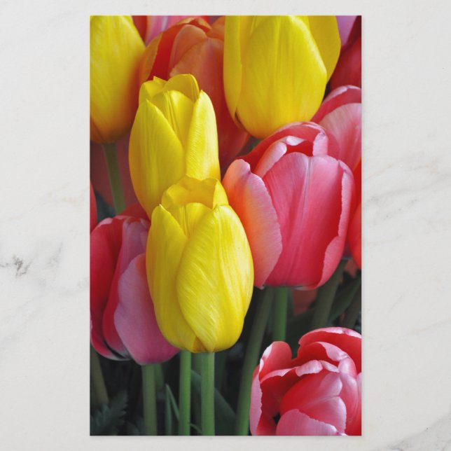 Colorful spring tulips bouquet (Front)