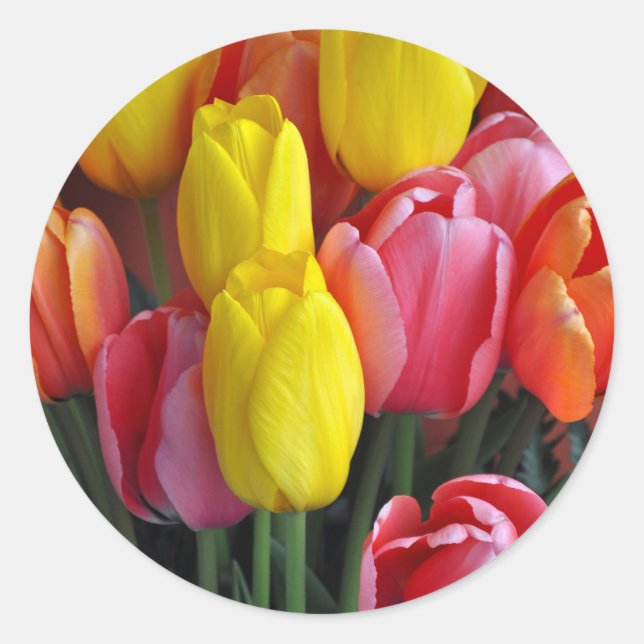 Colorful spring tulips bouquet classic round sticker (Front)