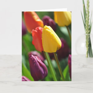 Colorful spring tulips garden greeting card