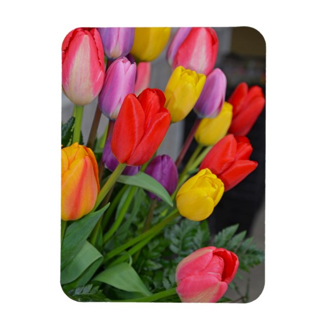 Colorful spring tulips magnet (Vertical)