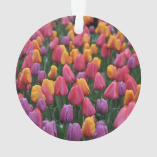 Colorful spring tulips ornament