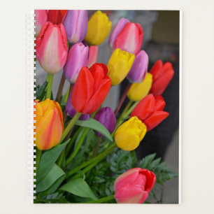 Colorful spring tulips planner