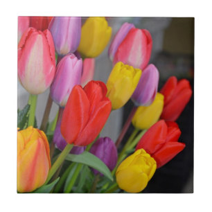 Colorful spring tulips tile