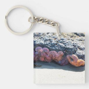 Colorful Starfish at Bob Creek, OR Keychain