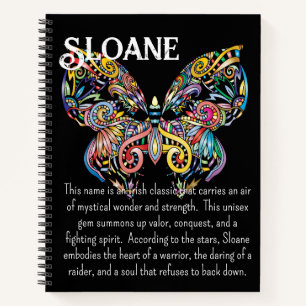 Colorful Steampunk Butterfly Journal